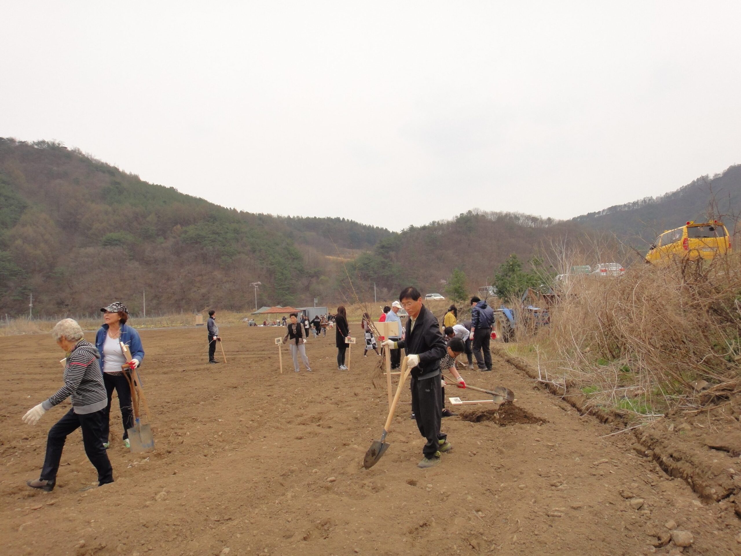 DSC09390.JPG