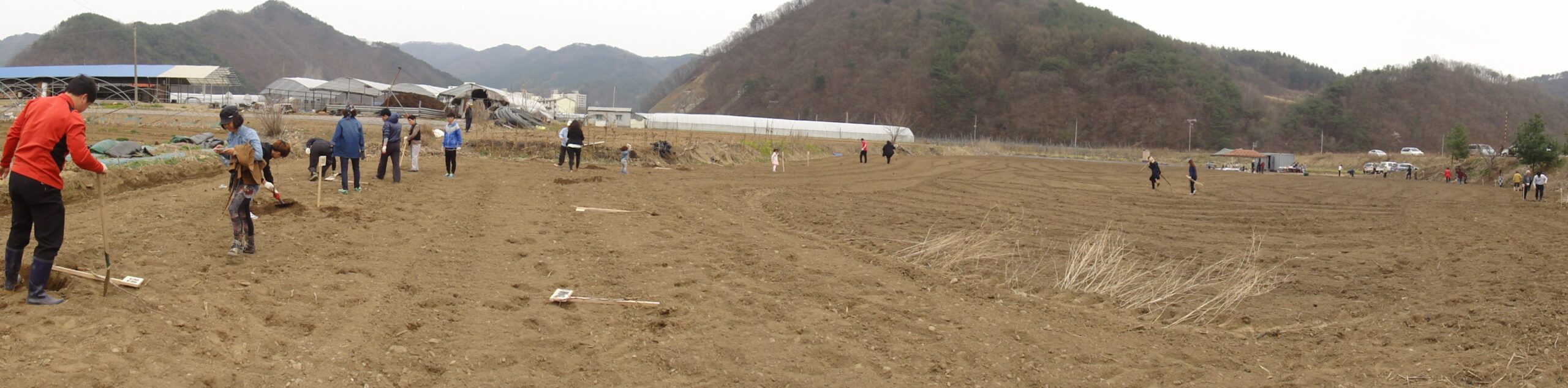 비전땅-3.JPG