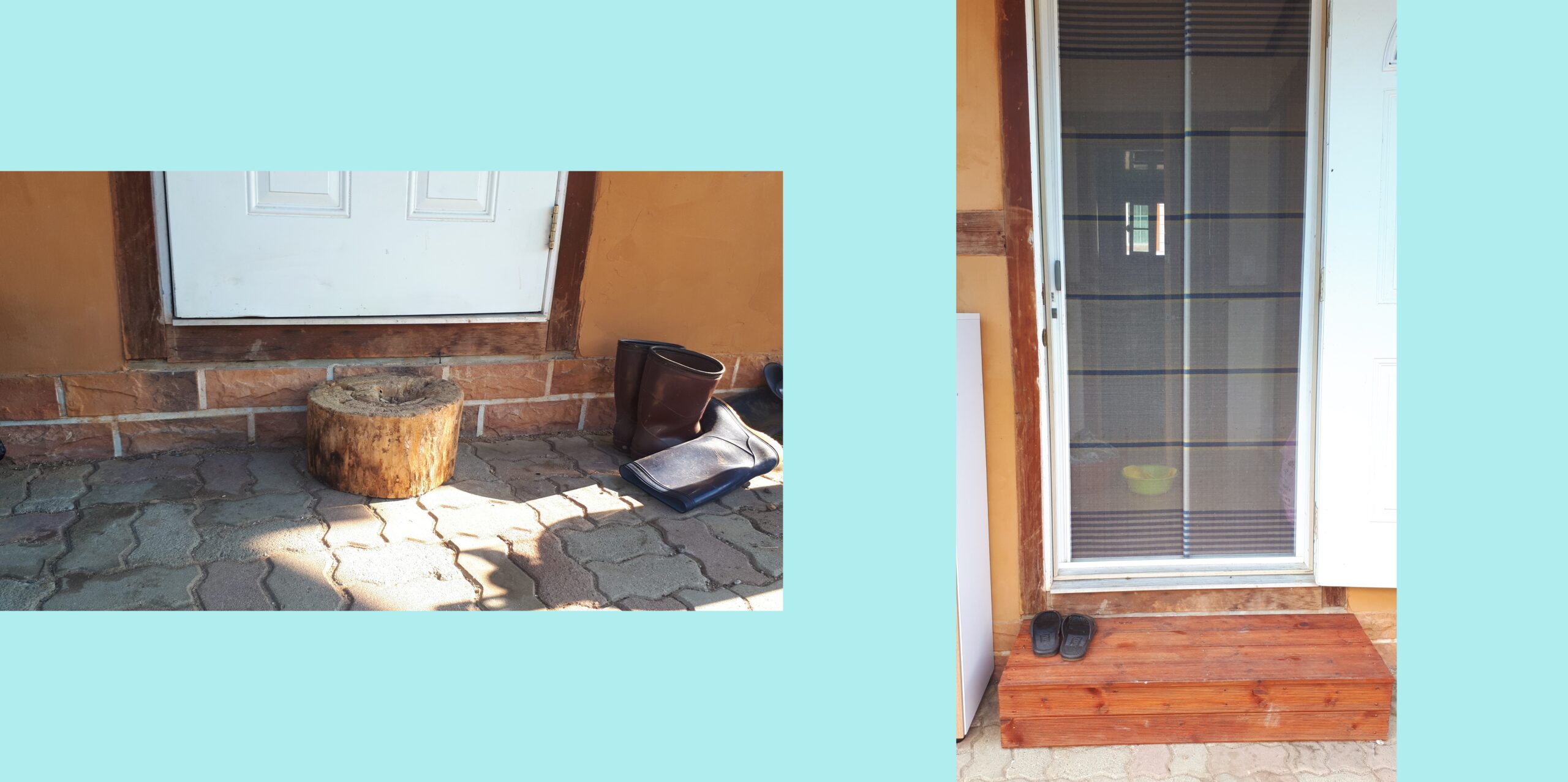 20190627_075341-tile.jpg
