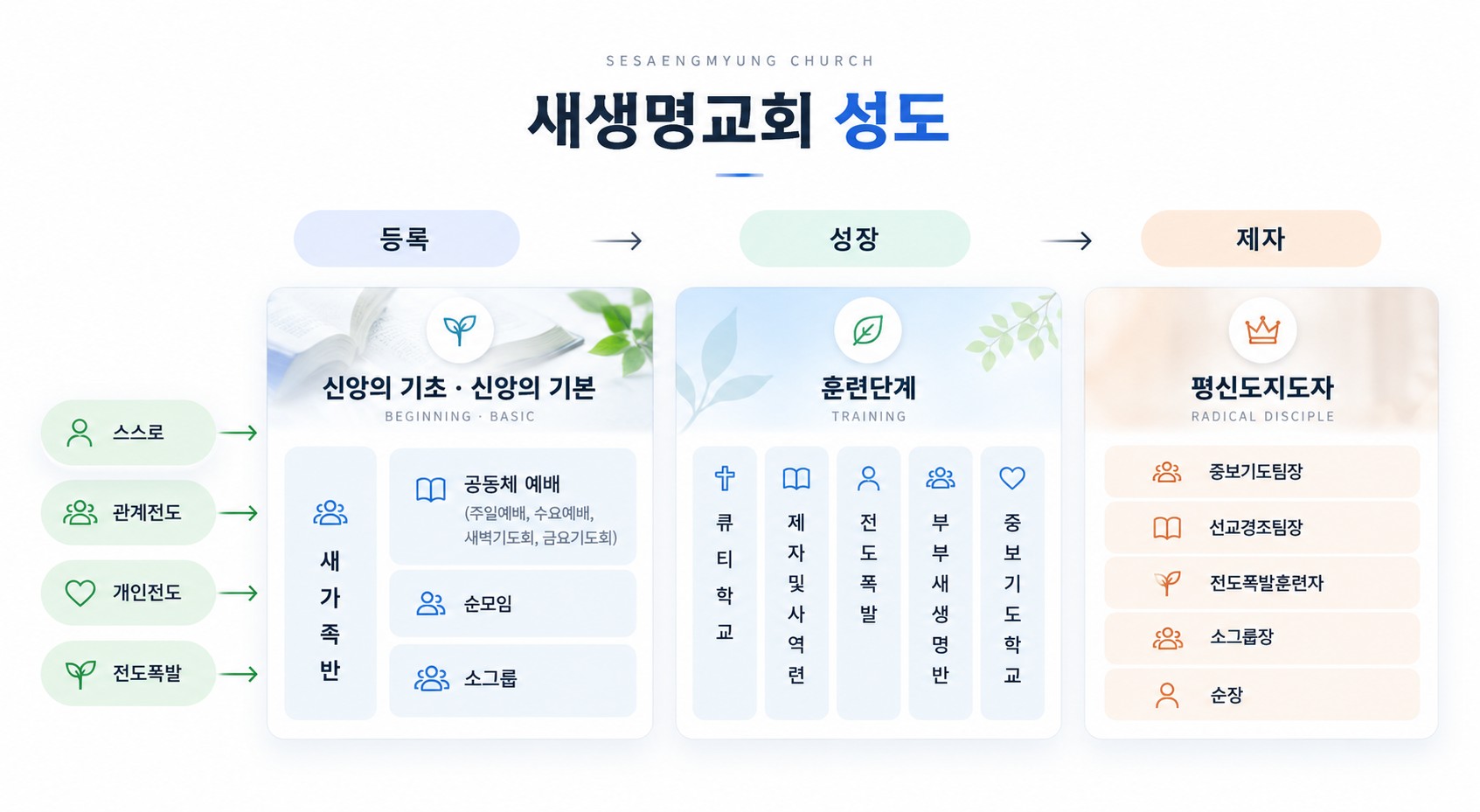 새생명교회 성도 성장 단계: 스스로·관계전도·개인전도·전도폭발로 교회와 만나 등록(새가족반, 공동체 예배·순모임·소그룹), 성장(큐티학교·제자 및 사역훈련·전도폭발·부부새생명반·중보기도학교), 제자(중보기도팀장·선교경조팀장·전도폭발훈련자·소그룹장·순장)로 이어집니다.